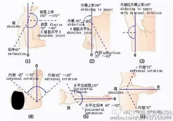 关节活动范围极大，如何轻松做到？